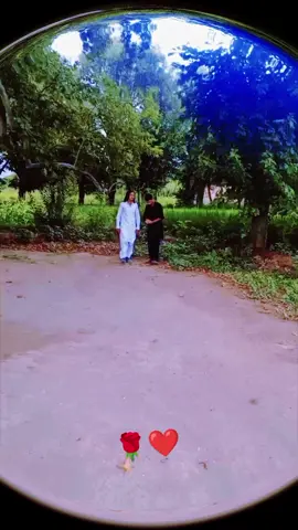 ❤❤❤🌹🌹🌹❤❤🌹🌹