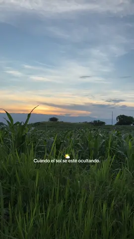 Cap. 4 |❣️🍃#fypシ゚ #paratii #viraltiktok #canciones #rancho #paisajesnaturales #letrasdecanciones #viralvideos 
