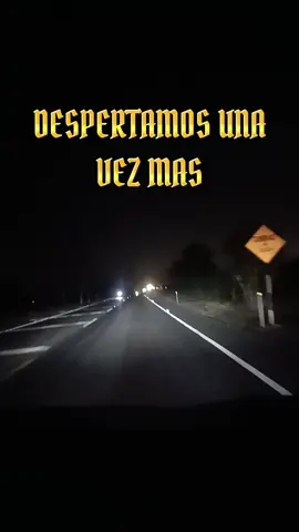 #CapCut 