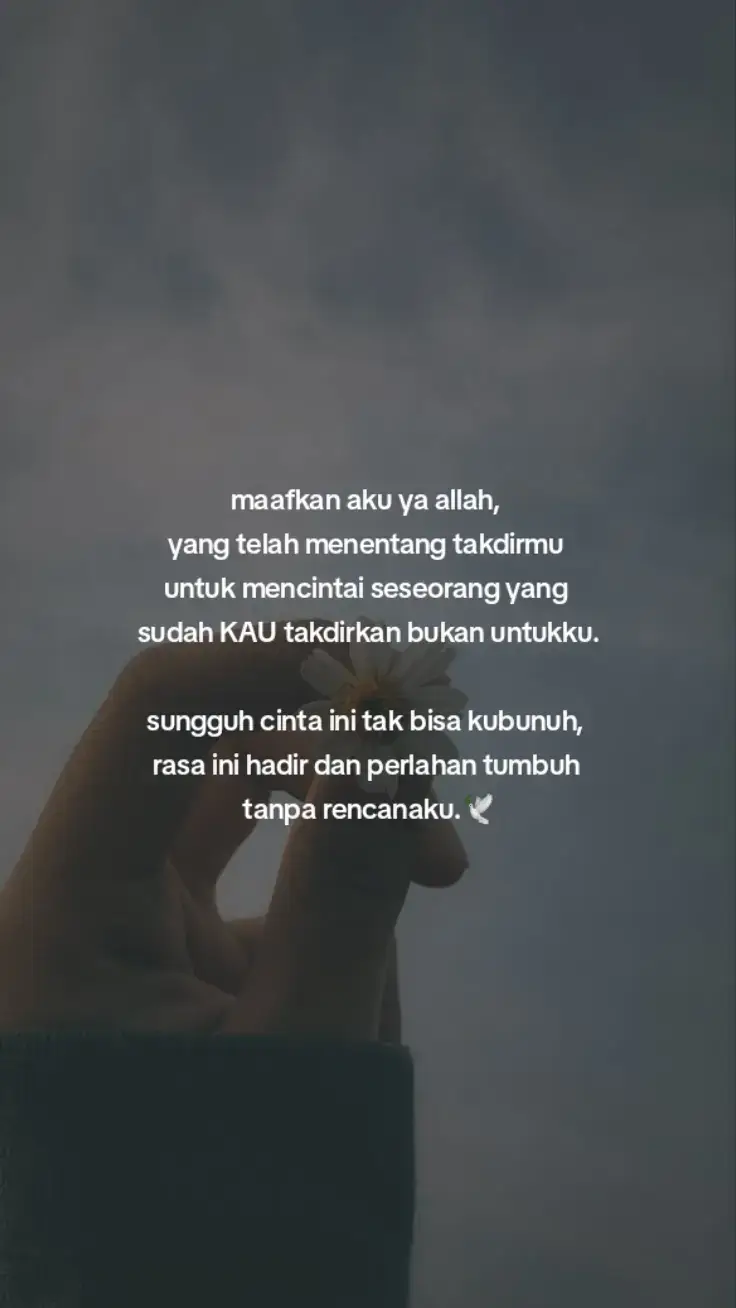 🥹🥀 #cintatapitidabisamemiliki #cintaterlarang #fypシ゚viral🖤tiktok 