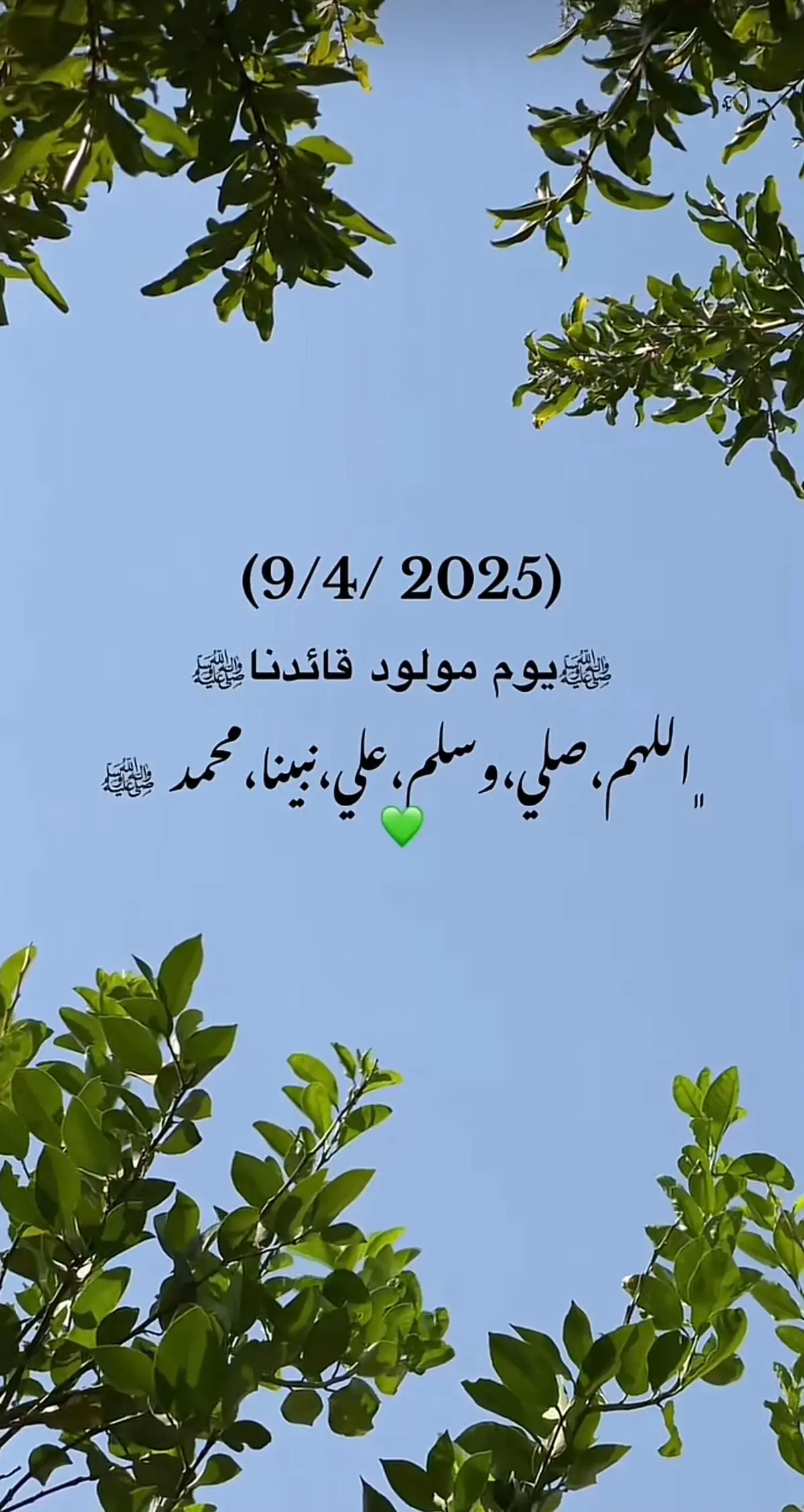 #foryou #fyp #مولد_النبوي_الشريف_مبارك #لايك__explore___ #المدينة_المنوره 
