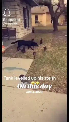#onthisday 