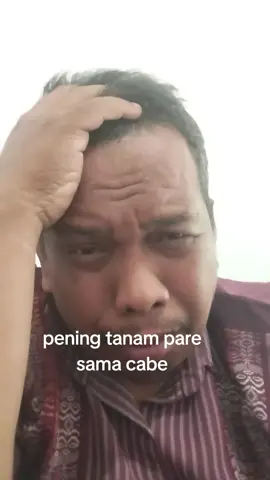 pening tanam pare dan cabe #fyp @DONGORANS 