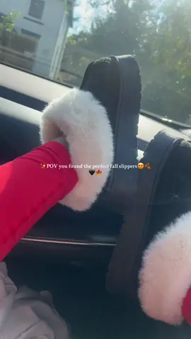 Cutest & coziest slippers ever 🖤 Comes in 3 colors — I grabbed the black! Available now for under $14 + FREE shipping 🛍️ Don’t sleep on this deal ✨ #tiktokshop #fallaesthetic #cozyfinds #fall #OOTD 
