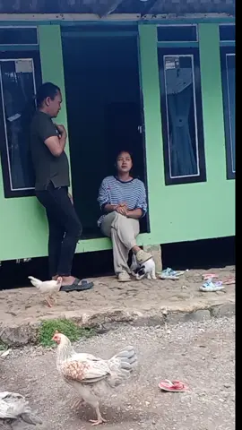 nagihan muludan vs nagihan dangdut#komedi #viral #fyp 