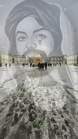 عبدگ من العراق💔. #الامام_الرضا_عليه_السلام  #مشهد  #ضامن_الغزال  #انيس_النفوس  #علي_ابن_موسى_الرضا 