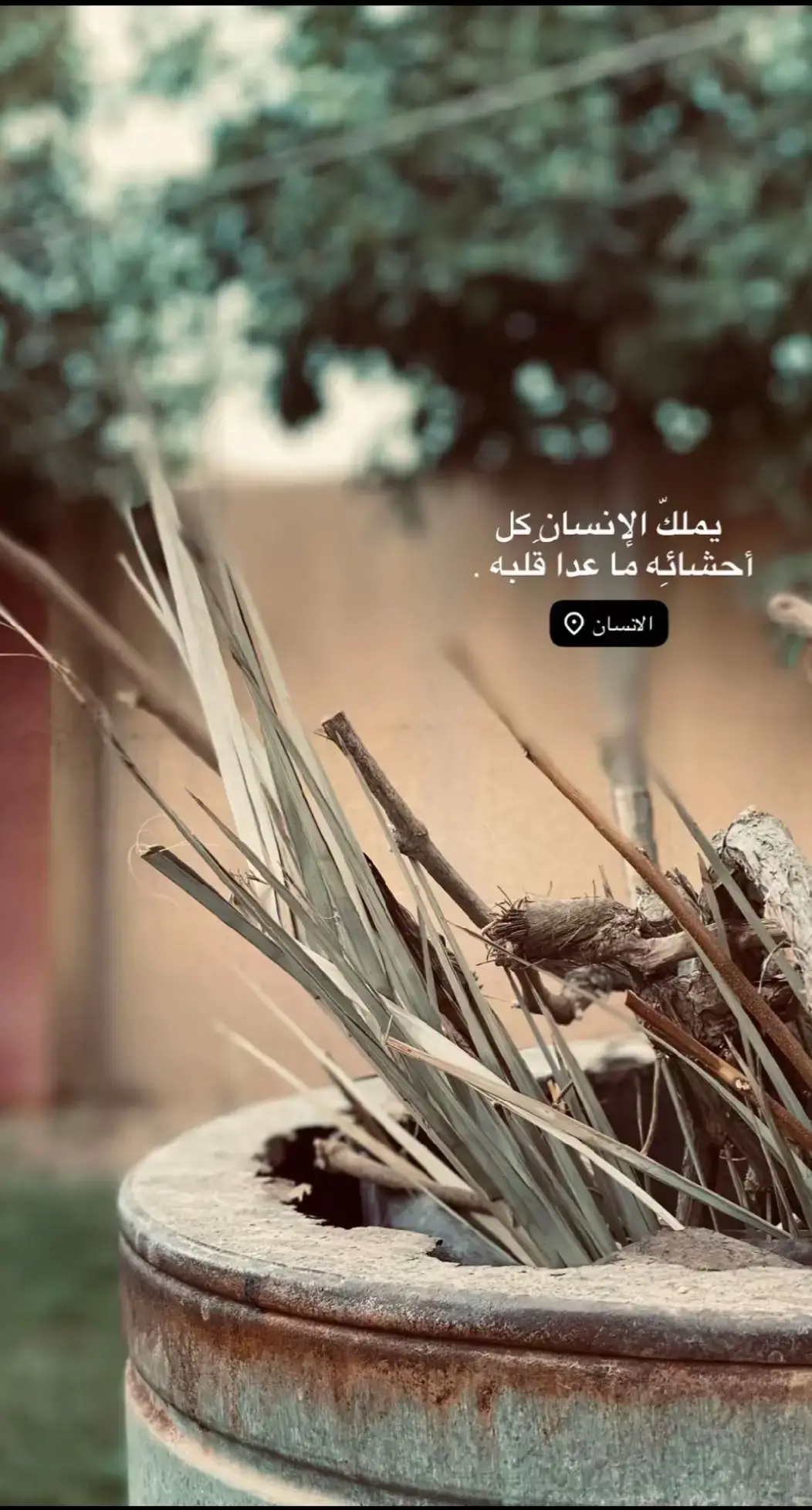 #تصويري #صور #لقطات #لايك__explore___ #fyp 