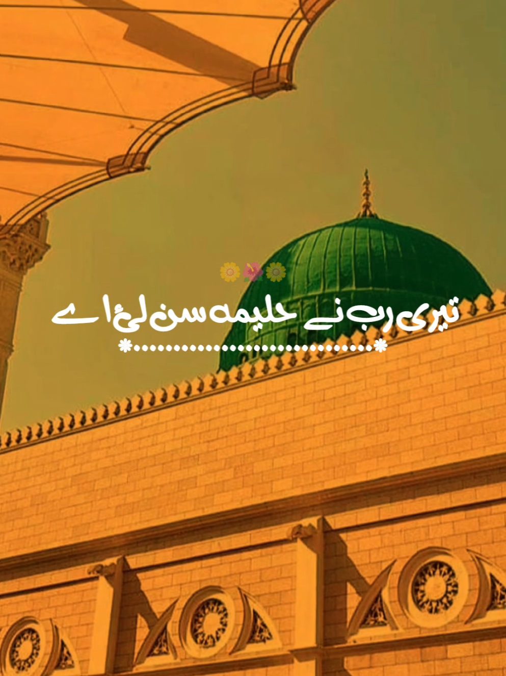 Meead Nabi..❤✨ #12rabiullawal #growmyaccount #meeladunabbi #rabiulawal #unfreezemyacount @✿𝐅𝐈𝐙𝐀 𝐄𝐃𝐈𝐓𝐒✿ @TikTok UK 