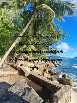 ဂျိုတော့လာမတပ်နဲ့ဖျာသည်မလေးရယ် မိန်းမကောင်းတွေက ပြိုင်လုစရာမလိုဘူးအချစ်ရဲ့#fypပေါ်ရောက်စမ်း😒👊🏻မရောက်လည်းနေ #100kfollowers 
