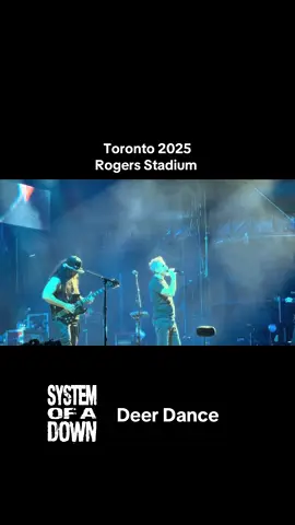 They like to push the weak around #soad #systemofadown #toronto #rogersstadium 