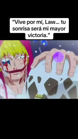 “No llores por mí, sonríe… y sigue viviendo.”  #onepiece #onepiecefan #onepieceedit #trafalgarlaw #corazon 