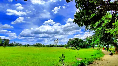জীবনে পাবো কি তার দেখা 🥰🥹🖤🌸 #foryou #foryoupage #trending #tiktok #capcut @TikTok @TikTok Bangladesh 