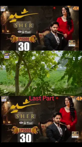 Sher Episode 30 #Danish Taimoor #Sarah Khan #Ary Digital Drama #3rd September 2025#pkdrama