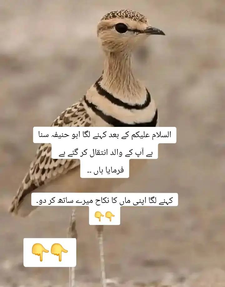 امام ابو حنیفہ رحمة اللہ علیہ کے والد صاحب کا انتقال ہو گیا تین دن تعزیت کے لیے بیٹھے رہے تین دن کے بعد باہر نکل کر چوک میں آگئے ۔  ‏ایک بندہ آپ کا حاسد تھا سخت مخالف تھا اور سارا علاقہ جانتا تھا کہ اپ کا مخالف ہے  ‏جب اپ باہر نکلے تو چوک میں بہت سارے لوگ تھے  وہ بھی سامنے سے آیا ۔  ‏السلام علیکم کے بعد کہنے لگا ابو حنیفہ سنا ہے آپ کے والد انتقال کر گئے ہے  ‏فرمایا ہاں ۔۔  ‏کہنے لگا اپنی ماں کا نکاح میرے ساتھ کر دو۔  ‏الله أكبر ایسا سخت جملہ کہ وہ انسان کی نیند میں سوراخ کر دیتا ہے انسان سو نہیں پاتا  ‏آپؒ کھڑے رہے جملہ سخت تھا مگر بات تو شرعی تھی غیر شرعی تو نہیں تھی ۔  ‏تو امام صاحب کے ساتھ جو شاگرد تھے عقیدت مند تھے انہوں نے تلواریں نیام سے نکالی ۔  ‏آپؒ نے فرمایا چپ کر جاؤ ہم کوئی لاوارث تو نہیں ہیں ۔  ‏حضرت امام ابو حنیفہ رحمۃ اللہ علیہ نے ساری ہمت سمیٹی آنکھ میں آنسو جو چمکے تو ان کو بھی دامن میں سمیٹ لیا ہمت جمع کر کے کہنے لگے ۔  ‏میاں تم نے کہا ہے میں اپنی ماں کا نکاح تیرے ساتھ کر لوں ۔  ‏تو عدت گزر لینے دے تیرا نام لے کے اماں سے بات کروں گا اگر وہ تیرے ساتھ نکاح کرنا چاہے تو مجھے اعتراض کوئی نہیں ۔  ‏یہ کہہ کے اپنے دوستوں کے بازو تھامے اگلے چوک میں گئے۔ ‏  ‏وہ بندہ دھڑام سے زمین پہ گرا اور روح پرواز کر گئی ۔  ‏لوگ کہنے لگے حضور اسے کیا ہوا ۔  ‏آپؒ فرمانے لگے اس نے سمجھا تھا میں لاوارث ہوں  ‏اسے کچھ بھی نہیں ہوا ابو حنیفہ کے صبر نے اس کی جان لے لی ہے۔ ‏کئی دفعہ لوگ بڑے سخت جملے کہہ دیتے ہے بڑی تکلیف ہوتی ہے۔ ‏حسد بڑی بری چیز ہے اس کے شر سے اللہ ہم سب کو محفوظ فرمائے۔آمین *‏