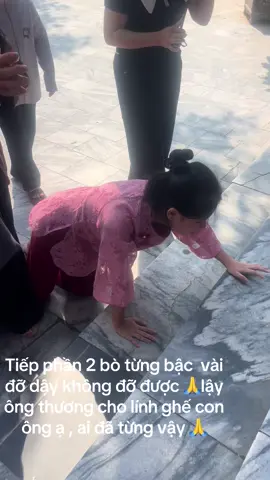 Đỡ vào cung mà không được phải bò vào tới nơi mới tha cho lính ghế#canso #linhghetuphu #xuhuing #xh #mophu 