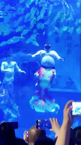 ikan duyung❎ ikan buntal✅
