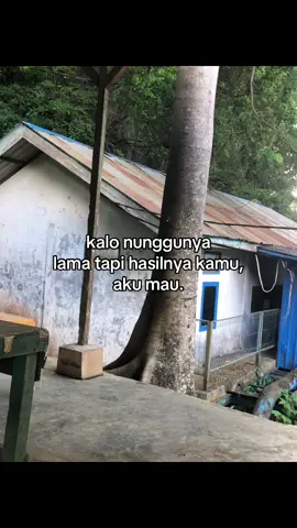 #galaubrutal 