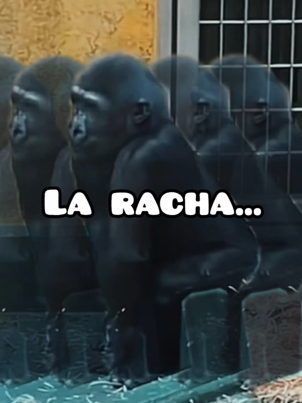 solo vengo a recordarte algo!!! la racha 🔥🚒 La racha remix 🔥 #racha  #larachaaaaaaaaaa🔥  #paratiiiiiiiiiiiiiiiiiiiiiiiiiiiiiii  #viral  #laracha 