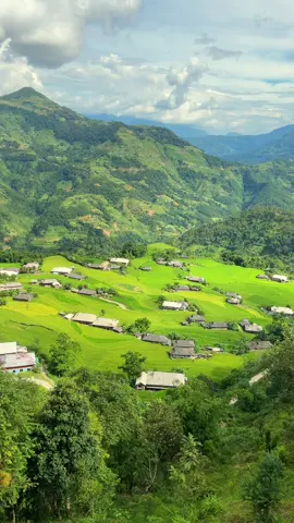 Mình đã phải wowww rất nhiều lần khi đến đây. Một toạ độ ngắm lúa không thể bỏ lỡ cho mùa vàng năm nay #hagiang #xh 