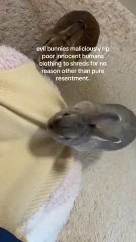 they make me sick. who are these guys.. #spirituality #bunny 