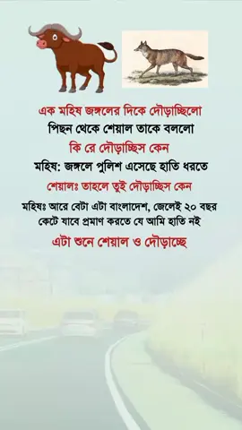 এক মহিষ জঙ্গলের দিকে দৌড়াচ্ছিলো