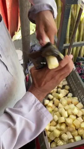 Satisfying Sugarcane Cutting😍 #satisfyingsounds #sugarcane #cutting #fyp 