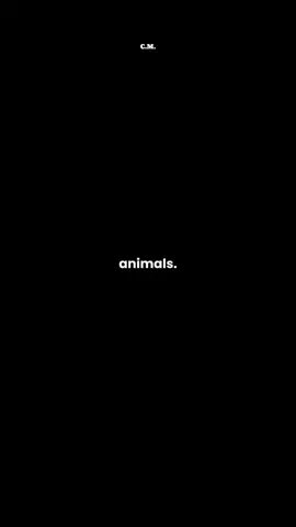 day 9 #animals #core #mentality #funny #foryou 