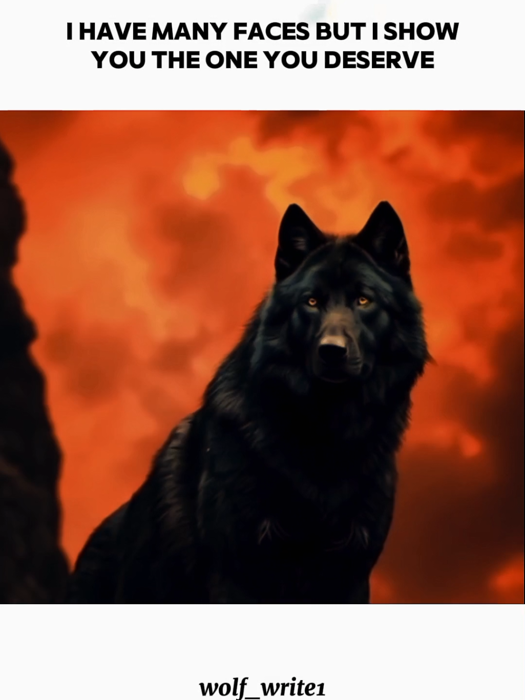 #viralvideo #forupage #foruyou #wolfwrite1 #unfreezemyacount 