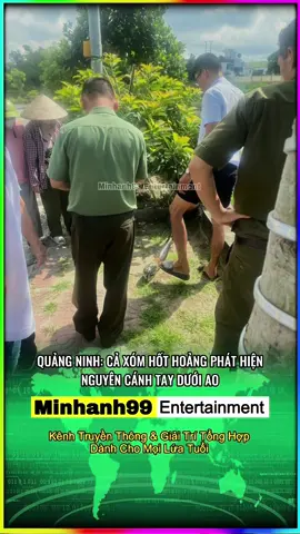 Sợ quá #minhanh99 