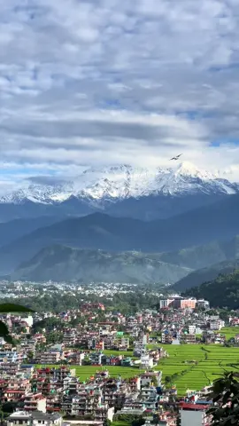 पोखरामा दशैंको रौनकता♥️ #dashainvibe#pokhara #grgchetan1999 