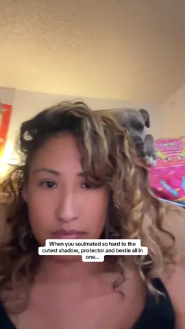 My emotional support dog saved me in one of my toughest times mentally… also she will bite you if you touch me hahah #tiktok #trend #fyp #pitbullsoftiktok #bestie 