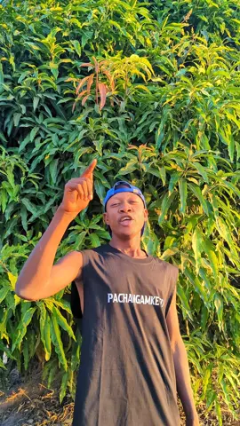 #funny #comedy #trendingvideo #nassorojuma🤣🤣🤣🤣🤣🤣🤣🙌 