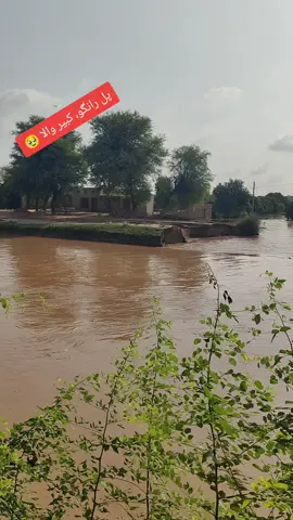 #silab2025rojhan #2025 #viralvideo #viral #foryou 