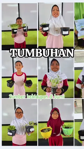 Komunitas Bocil Pecinta Tumbuhan 🌱🍀🪴