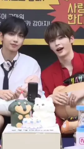 meongcat ✨🫂🥺 #mcountdown #boynextdoor #myungjaehyun #zerobaseone #sunghanbin @BOYNEXTDOOR @zb1_official 