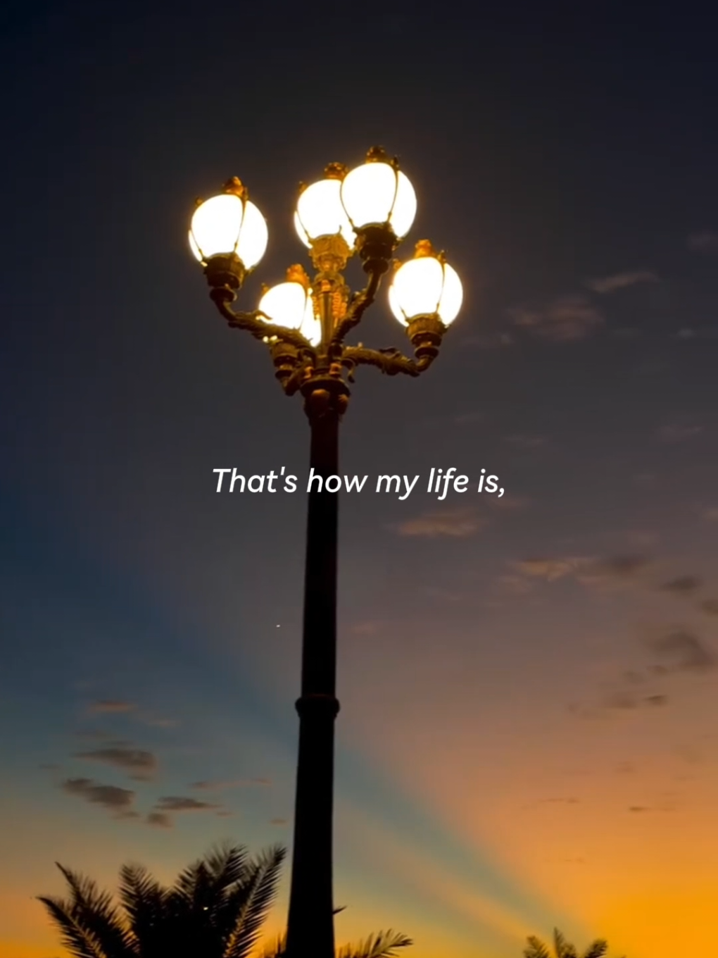 loser > > > #lyrics #foryou #song #fyp #foryoupage 