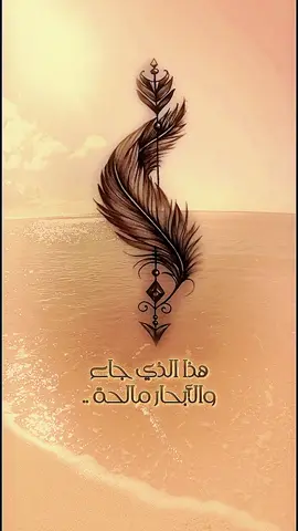 #ربي_صلي_وسلم_وبارك_على_محمد #يامن_تحبون_النبي_صلو_عليه💬🍂 #ألف_الصلاة_والسلام_عليك_ياحبيب_الله_محمد #creatorsearchinsights #اذكار_المساء_صلوا_علي_نبينا_محمد #ان_الله_وملائكته_يصلون_على_النبي_🕋❤🕌 #صلى_علي_النبي_محمد_صلى_الله_عليه_وسلم🤲🤲 #وأفرش_بساط_الحب_حب_محمد #اللهم_صلي_على_نبينا_محمد💓🕋📿 #صلوات_الله_عليك_يا_حبيبي_يا_رسول_الله❤️ #يامن_تحبون_النبي_صلو_عليه_وسلمو_تسليما💞 #الصلاة_والسلام_عليك_ياحبيبي_يارسول_الله❤ #فاح_العبير_بذكر_احمد_وانبرا #وابشر_ففي_الخبر_الصحيح_تقررا #لال_البيت_عز_لا_يزول #صلوا_عليه_وسلموا_تسليما #ان_الله_وملائكته_يصلون_على_النبي_ #لوكنت_طيرا_طار_فوق_خياله #المولدالنبوي #ماذا_اقول_وددت_البحر_قافيتي