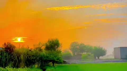 Video#viral #pinda #aly 