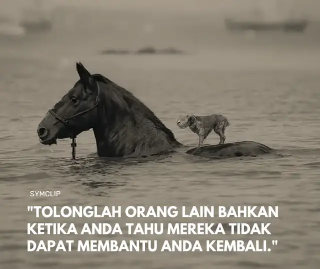 Tentu, berikut adalah naskah pidato yang bisa Anda gunakan. Membangun Kebaikan Tanpa Syarat Selamat pagi, teman-teman, dan hadirin sekalian. Hari ini, saya ingin mengajak kita semua untuk merenungkan sebuah kalimat sederhana namun penuh makna: 