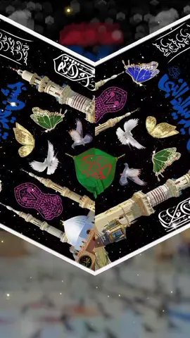 12 rabi ul awal mubarak, مالاد النبی مبارک 2025, Trending naat on tiktok, Naatsharif, Islamic_video, Naatkhwan, naat_nasheed, Naatstatus, 💜🌹🕋🕌🌹💜 #suhanallah #🤲🕋💚 #statusvideo #rabiulawal #naatsharif 