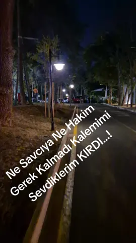 Bu akşam içeceğim..
