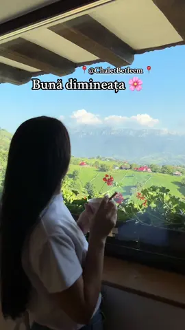#ForYou #FYP #TikTokRomania #romania #viralvideos 