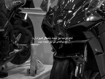 #dya_812 