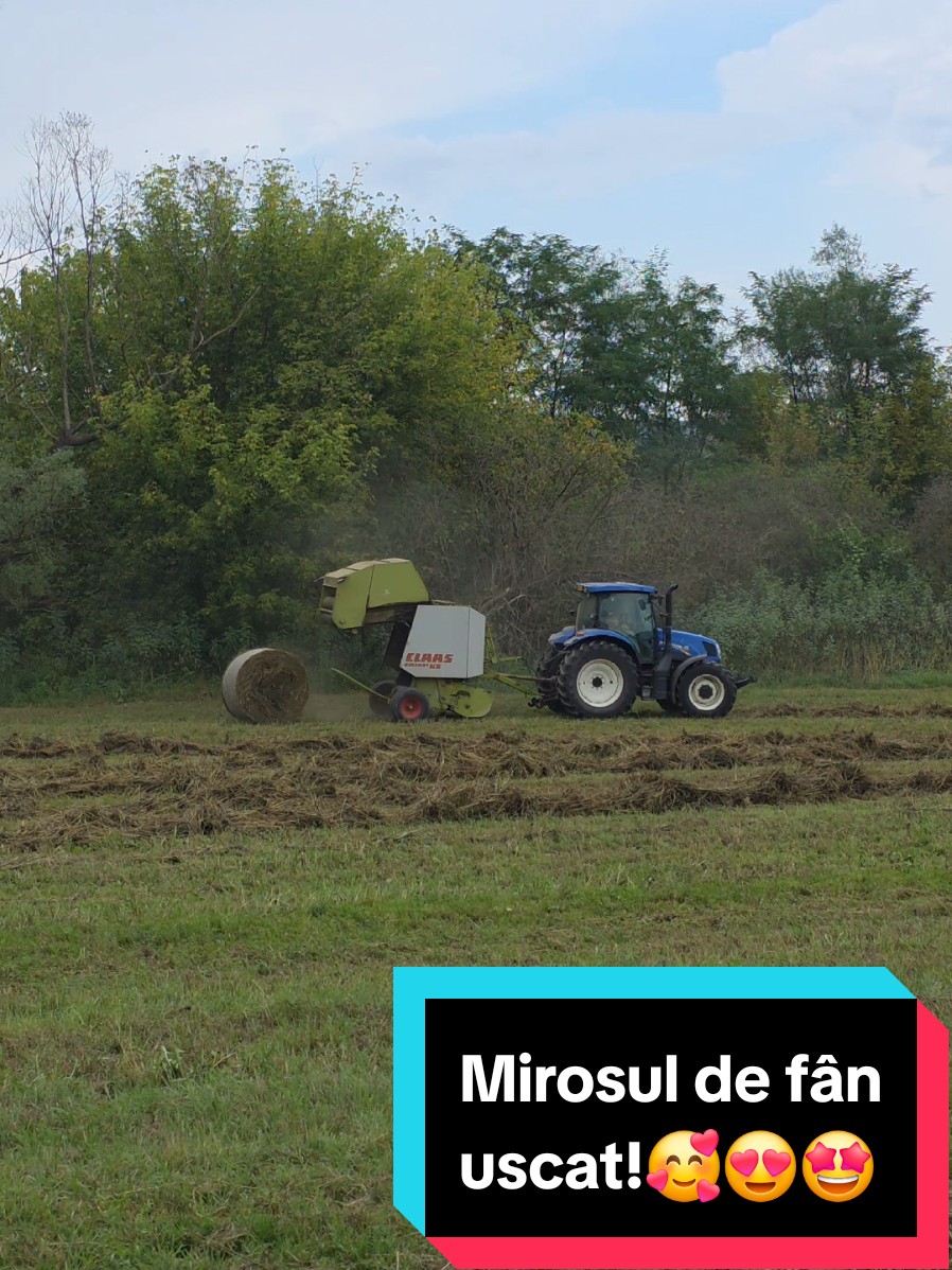 Ieri am fost cu frățică sa facem si sa aducem baloti de lucernă si iarba! Ce frumos ii cand sculele funcționează si nimic nu-ți întrerupe ziua de lucru!😅 #agricultura #fermier #tractorist #balotidelucerna #viatalatara 
