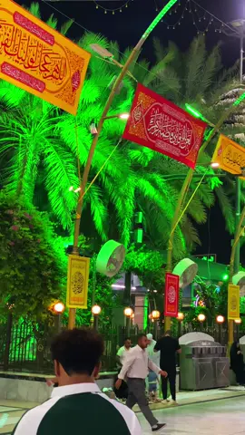 Salam ya mola #viralvideo #1millionviews #karbala_live_views 