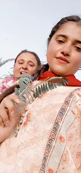Sindhi song #foryou #infreezemyacountplztiktokteems #veralvideo❤❤❤❤❤ #LanguageLearning #veralvideo❤❤❤❤❤ 