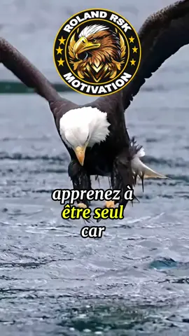 Apprenez à être seul car personne ne sera là éternellement pour vous…#motivation #citation #conseil #inspiration 
