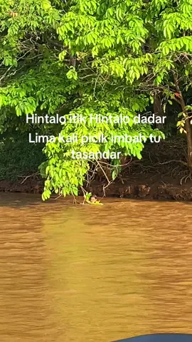 Kda lh taungut#fypシ゚ #binianbanjar 