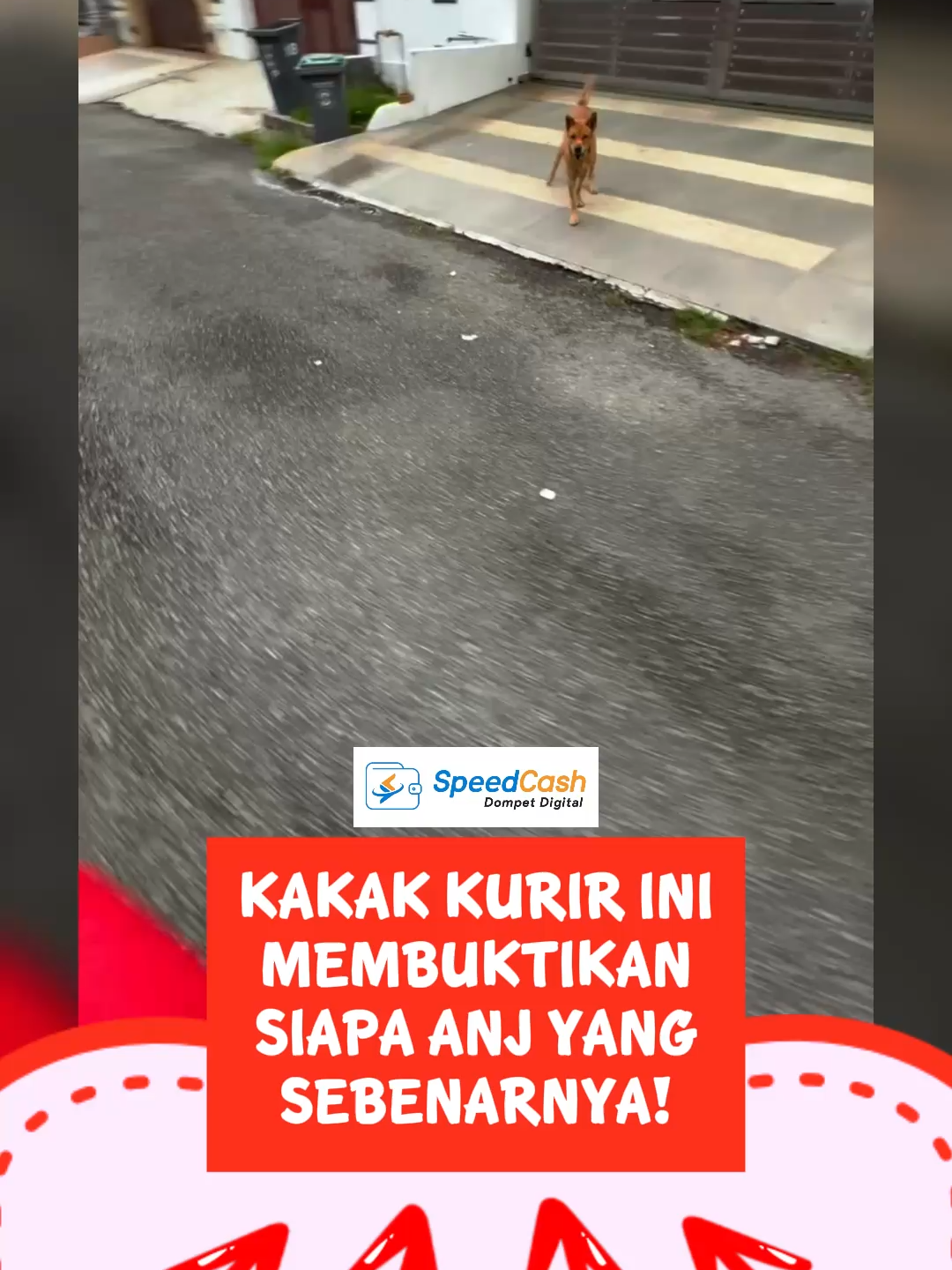 kurir ini membuktikan siapa anj sebenarnya - SpeedCash sc: alilijnt #berita #info #fyp #ForYou #speedcash