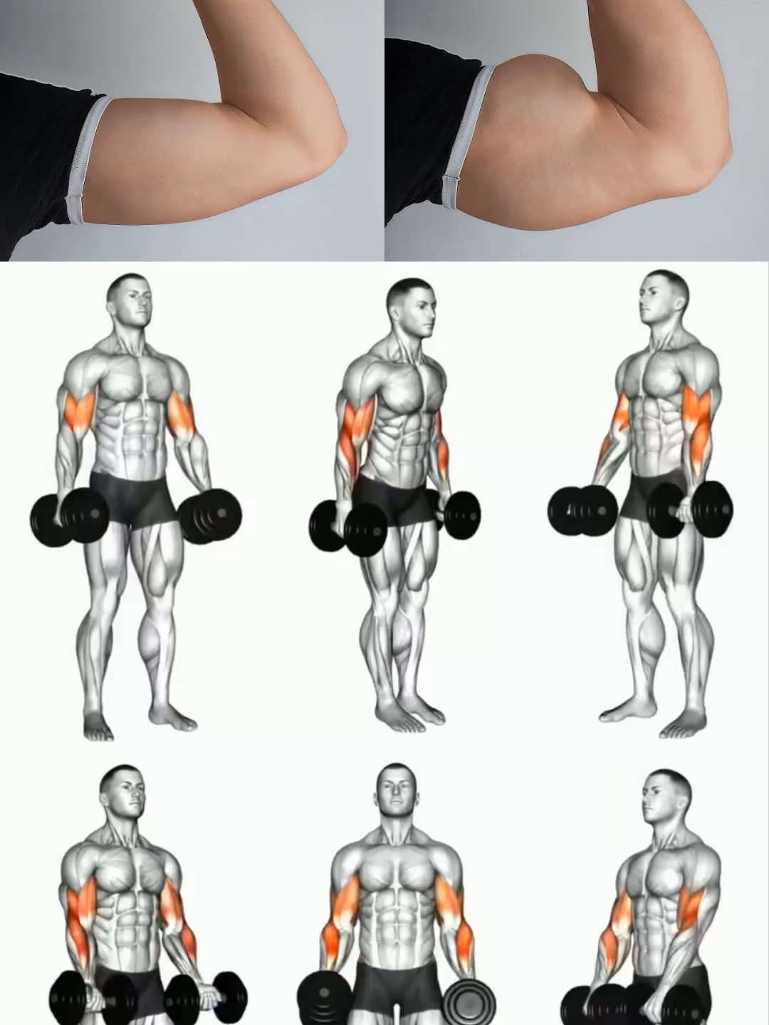 Bigger Arms Workout #GymTok #muscle #exercise #Fitness #workout #workoutroutine #workouttips #fit #fitnesstips #arms #armworkout